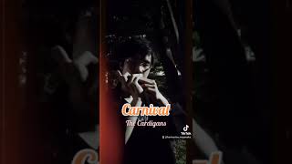 The Cardigans『Carnival』クロマチックハーモニカ演奏 望岡季世彦 [upl. by Lessirg]