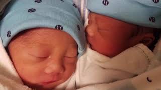 Monochorionic Diamniotic Twins I Identical Twins I Share the Same Placenta I TWINventures [upl. by Oniger]