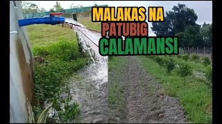 CALAMANSI FARM VISIT CONCEPTION TARLAC [upl. by Akenahc]