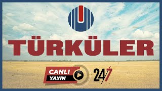 Ulusdan Türküler  Canlı Radyo  724 Radyo Dinle 2024 [upl. by Erialcyram]