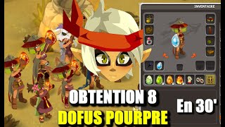 Dofus Obtenir 8 Dofus Pourpre de A à Z en 30 minutes [upl. by Derayne790]