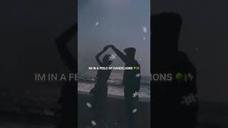 Dandelions song♥️🎵🎶🎧…editlife18edits [upl. by Kannav]