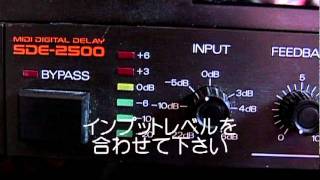 Ｒｏｌａｎｄ ＳＤＥ－２５００ Ｙ字ヘリ [upl. by Limoli684]