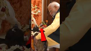 ये काम करती है मोदीजी की पत्नी Modijis wife does this work shortvideo modiji [upl. by Atiral]