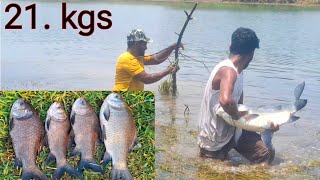 Fishing Videos  How To Catch Big Fish  100 Rupees Bait  Fishing Techniques  Very easy Fishing [upl. by Avihs424]