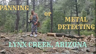 GOLD PROSPECTING LYNX CREEK ARIZONA  Pan or Metal Detect [upl. by Sybil]