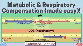 Respiratory and Metabolic affects on blood pH including compensation ABG basics made Easy [upl. by Zared]