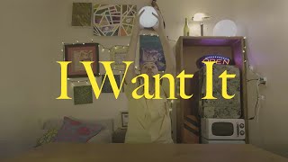 Tim Ayre  I Want It Official Video [upl. by Omrellig479]