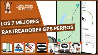 Los 7 mejores rastreadores gps perros [upl. by Beatriz]