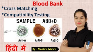 Cross Match Test in blood bank  Technique of cross matching  cross matching blood procedure [upl. by Oriana]