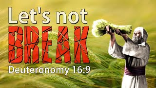 Let’s Not Break Deuteronomy 169 [upl. by Tocs]