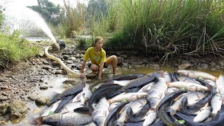 Top Videos Survival Skills Unique Fishing Fishing Techniques Fishing Skills Harvesting Big Fish [upl. by Ronyar]