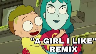 A Girl I Like  Rick and Morty Remix  Morty Beth And Planetina [upl. by Eelyah933]