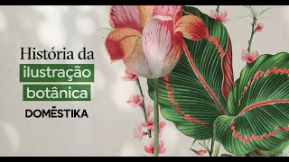 HISTÓRIA da ILUSTRAÇÃO BOTÂNICA Quando começamos a Pintar Flores  Domestika Português [upl. by Clintock898]