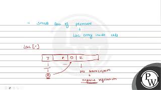 What type of regulation is exhibited by the lac operon through the action of the repressor prote [upl. by Jakob]