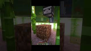 bamboo farmageddon minecraft minecrafthardcormode survival bamboofarm redstonebuilds [upl. by Fanchie]