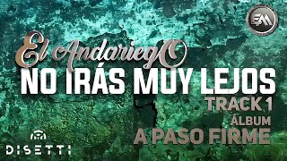 El Andariego  No Irás Muy Lejos  Música Popular [upl. by Kabab297]