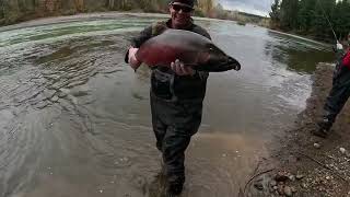 Olympic Peninsula Salmon fishing pt 2 the Bonus footage🎣 [upl. by Nylekoorb]