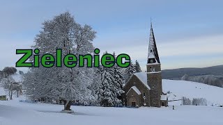 Zieleniec biały ❄ 4122023 [upl. by Latoniah453]