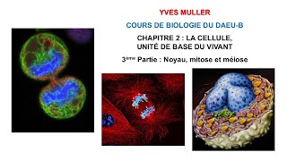 Chapitre 2 – 3ème Partie  Noyau mitose et méiose  Cours de Biologie du DAEUB [upl. by Pincas]