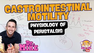 Motility of the Gastrointestinal Tract  Peristalsis Physiology [upl. by Airdnekal]