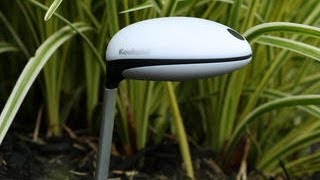 The Koubachi WiFi Plant Sensor connects your garden for a premium price [upl. by Renraw]