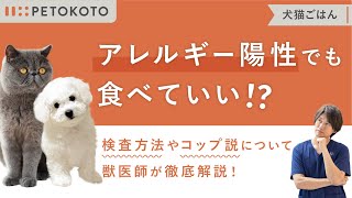 犬の【食物アレルギーテスト】は注意が必要？原因やドッグフードの選び方を獣医師が解説 [upl. by Archy28]