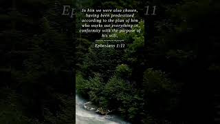 Bible  Ephesians 111  In him we were also chosen hav [upl. by Etteloc]