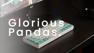 Glorious Pandas sound test Lubed vs Unlubed [upl. by Riva865]