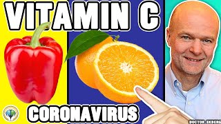 Top 10 Vitamin C Foods You Must Eat [upl. by Elin]