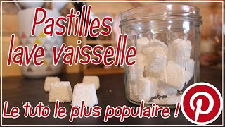 DIY  Je teste un tuto pinterest  les pastilles pour le lavevaisselle [upl. by Bilek836]