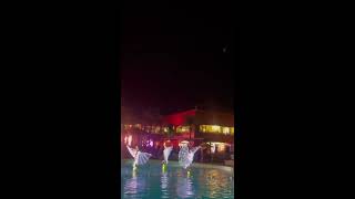 SHOW AQUADANCE [upl. by Cone]