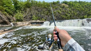 This River Dam is LOADED with Fish [upl. by Dix787]