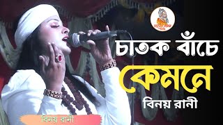 চাতক বাঁচে কেমনে  বিনয় রানী  Chatok Bache Kemone  binoy rani  Folk Song  Channel Lalon Bd [upl. by Iorgo]