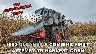 Allis Chalmers Show 1962 Gleaner Model A Combine Harvesting Corn First Attempt [upl. by Naujit]