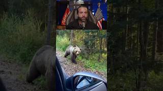 Man Tries to Feed a Grizzly BearInstantly Regrets It [upl. by Arsi]