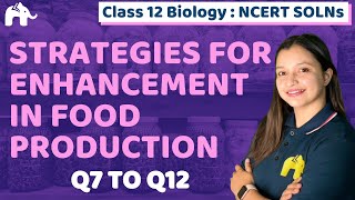 Introduction to Plant Breeding  Strategies for Enhancement in Food Production Class 12 neetbiology [upl. by Enilaf]