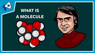 What Is a Molecule [upl. by Blandina]