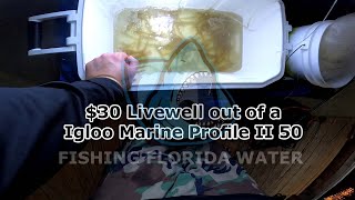 30 Livewell out of a Igloo Marine Profile II 50 [upl. by Eta]