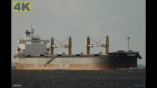 EMMANUEL C  Shipspotting Germany 🇩🇪 IMO 9394909  River Elbe near City Otterndorf  4K VIDEO [upl. by Lennaj]