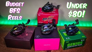 Fishing on a Budget The Top 4 BFS Reels Under 80 [upl. by Enautna102]