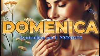 DOMENICA  GRATITUDINE PER il MOMENTO PRESENTE sfida dei 30 giorni meditazione e affermazioni [upl. by Bible755]