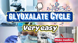 Glyoxylate cycle [upl. by Arihas]