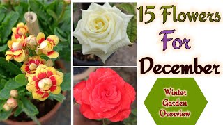 15 flowering plants for December month दिसंबर में यह 15 पौधे करेंगे कमाल [upl. by Nerrad31]