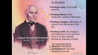 Biography of Jan Evangelista Purkinje and his discoveries in science [upl. by Iva369]