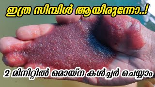 കിലോ കണക്കിന് മൊയ്‌ന ഒരു ചിലവും ഇല്ലാതെ  Moina Culture Malayalam  With Sugar amp Yeast [upl. by Nylecaj]