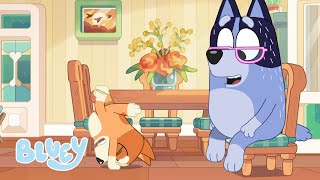 Bingo Tries to Handstand  Season 2  Bluey [upl. by Daune319]