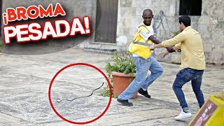 ¡BROMAS pesadas DE LA SERPIENTE en la calle l Videos Graciosos [upl. by Tyrus]