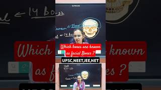 Which bones are known as facial bones  shorts ias upsc science biology bones [upl. by Kamila297]