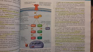 Overview of Thyroid Carcinoma Genes  SPECIAL PATHOLOGY [upl. by Aderf]